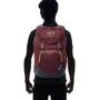 Рюкзак Рюкзак Deuter Walker 24 колір 5424 maron-granite (3810717 5424): Додатково Система спинки Airstripes, Ручка для перенесення, Поясний ремінь, Відділення для документів, відділе