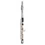 Флейта MAXTONE TPC60S: Виробник MAXTONE