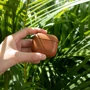 Чехол для наушников Native Union Leather Case Tan (APCSE-LTHR-BRN-V2) for Apple AirPods 3 фото 5