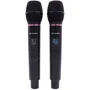 Радиосистема HL AUDIO DG-2000: Тип Вокальные