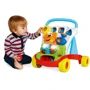 Іграшка-ходунки Chicco Baby Gardener (09793.00): Вид Ходунки