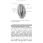 Джен Ґантер: Біблія вагіни: ISBN 978-617-7808-92-2