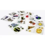 Настольная игра Hobby World Loonacy (1339) фото 7