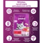 Сухой корм для кошек Whiskas с говядиной 800 г (5998749144145): Класс Премиум