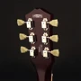 Электрогитара CORT CR300 (Aged Vintage Burst): Материал корпуса Красное дерево с кленовым топом