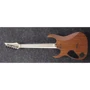 Электрогитара IBANEZ RGR5221-TFR: Форма корпуса Stratocaster