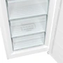 Морозильная камера Gorenje FN619EEW5/UA