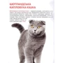 Велика книжка. Кішкі: Виробник БАО