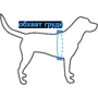 Шлея для собак Coastal Li`l Pals Comfort Dog Harnes 0.9х20-36 см разноцветная (52154): Производитель Coastal