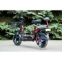 Електроскутер VEGA ELF-3 (Red): Допустиме навантаження, кг 120