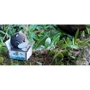 Сборная 3D модель Eugy Зоопарк: Котенок черно-белый (XEG-089)