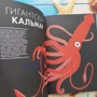 Элен Дрювер: Океан: Автор Элен Дрювер