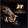 Влажный корм для котов Pro Plan Adult Maintenance Кусочки в паштете с курицей 6х85 г (8445290173218): Вес упаковки 85 г