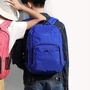 Сумка для ноутбуков Tigernu 15,6" T-B3836 Royal Blue: Цвет синий