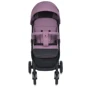 Коляска прогулочная детская Bambi (M 4249-2 Mauve Matt): Количество блоков 1