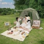 Палатка Naturehike Ango Pop-Up NH21ZP010 210T со стойками, темно-зеленая (6927595796351): Водостойкость тента, мм 2000