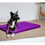 Матрас Lucky Pet Харлей №3 для собак синий 50х70х5 см (213248): Тип Лежак
