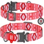 Ошейник WAUDOG Nylon с QR-паспортом, рисунок "Этно красный", металлическая пряжка-фастекс 25 мм 31-49 см красный (5208)