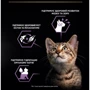 Влажный корм Purina Pro Plan Kitten Healthy Start для котят с индейкой. Кусочки в соусе 10x85 г (7613034767646): Класс Супер премиум