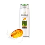 Pantene Шампунь Укрепление и блеск 600 ml: Пол Для женщин