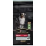 Сухой корм для собак Purina ProPlan Medium Sensitive Для средних пород с чувствительным пищеварением с ягненком 14 кг (12366972)