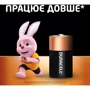Duracell D (LR20) MN1300 2 шт (5000394076730) фото 2