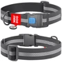 Ошейник для собак WAUDOG Waterproof c QR паспортом пластиковый фастекс XXL 40 мм 46-70 см серый (251011)