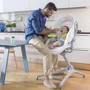 Ліжечко-стульчик Chicco Baby Hug Air 4 в 1, колір 24 (79193.24.00): Тип кроватка-стульчик