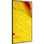 Монитор NEC MultiSync ME501 (60005053): Тип ЖК-матрицы VA