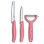 Набор кухонных ножей Victorinox SwissClassic Paring Set 3 пр. (6.7116.33L12)
