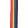 Гитарный ремень PLANET WAVES PWS111 POLYPRO GUITAR STRAP (RAINBOW): Тип Ремни
