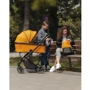 Універсальна коляска 3в1 Carrello Alfa CLR-6508 Parrot Green фото 7