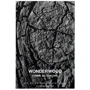 Парфюмированная вода Des Garcons Wonderwood 100 ml: Аромат Древесный
