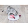 Игрушка для котов Trixie Flip Board интерактивная 23 см (4011905458922) фото 3