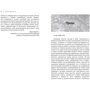 Сверхъестественное. И прошёл год: Производитель АСТ