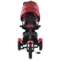 Велосипед 3х колесный Lorelli NEO AIR (red/black luxe): Тип Велосипед-коляска