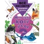 Віталій Танасійчук: Для чого коту вуса?