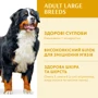 Сухой корм Optimeal Adult Dogs для собак крупных пород с курицей 12.5 кг (4820083908385): Класс Супер премиум