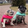Курточка-накидка для собак WAUDOG Clothes Рік та Морті 1 L А 41 см B 58-70 см З 42-52 (505-0280)см: Розмір тваринного Большие
