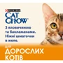Вологий корм Cat Chow Adult для дорослих котів шматочки в желе з яловичиною та баклажанами 26х85г (12449442): Вага упаковки 2.21 кг