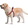 Шлея WAUDOG Nylon с QR-паспортом, рисунок "Шотландка красная" 15 мм 40-55 см красная (4981) фото 2