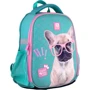 Рюкзак школьный каркасный Kite Education Studio Pets SP21-555S-1: Год коллекции 2021