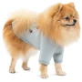 Кардиган Pet Fashion Denis XS2 м'ятний (4823082434602): Обхват шиї 32-39 см