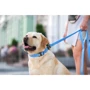 Поводок WAUDOG Waterproof, светящийся 25 мм 122 см голубой (27232): Длина 1.22 м