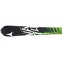 Лыжи ATOMIC VARIO CARBON + XTO 10 (2012/2013): Тип горные лыжи