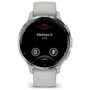 Смарт-часы Garmin Venu 3S Silver Stainless Steel Bezel with Sage Grey Case and Silicone Band (010-02785-01): Дисплей 1.2" AMOLED (390x390)