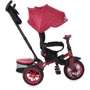 Трехколесный велосипед Lorelli SPEEDY AIR black/red: Тип 3х колесный велосипед
