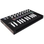 MIDI-клавиатура Arturia Minilab MKII Inverted: Механика Динамическая