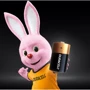 Батарейки Duracell Basic D алкалиновые 1.5V LR20 2шт. (5000394052512) фото 2