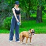 Повідець-рулетка для собак WAUDOG R-leash з контейнером для пакетів M блакитний до 20 кг 5 м (26282) фото 9